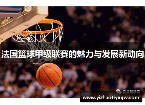 法国篮球甲级联赛的魅力与发展新动向